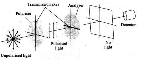 NCERT Exemplar: Wave Optics | Physics Class 12 - NEET