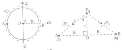 NCERT Exemplars - Electric Charges and Fields | Physics for Airmen Group X - Airforce X Y / Indian Navy SSR