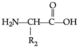 Class 12 Chemistry: CBSE Sample Question Paper- Term I (2021-22)- 3 | Sample Papers for Class 12 Medical and Non-Medical