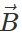 Short & Long Answer Questions: Motion in a Plane | Physics for JEE Main & Advanced