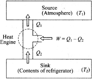 NCERT Exemplar: Thermodynamics | Physics Class 11 - NEET