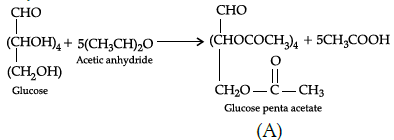 Class 12 Chemistry: CBSE Sample Question Paper- Term I (2021-22)- 4 | Sample Papers for Class 12 Medical and Non-Medical