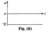 NCERT Exemplar: Motion in a Straight Line - 2 | NCERT Exemplar & Revision Notes for NEET