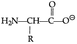 Class 12 Chemistry: CBSE Sample Question Paper- Term I (2021-22)- 3 | Sample Papers for Class 12 Medical and Non-Medical