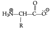 Class 12 Chemistry: CBSE Sample Question Paper- Term I (2021-22)- 3 | Sample Papers for Class 12 Medical and Non-Medical