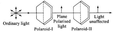 NCERT Exemplar: Wave Optics | Physics Class 12 - NEET