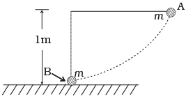 NCERT Exemplar: Work, Energy & Power | Physics Class 11 - NEET