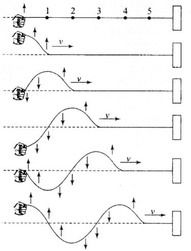 NCERT Exemplar: Waves | Physics Class 11 - NEET