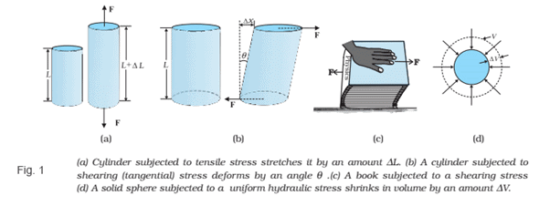 Hooke’s Law & Stress-Strain Curve | Physics for JAMB