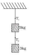 NCERT Exemplar: Laws of Motion | Physics Class 11 - NEET