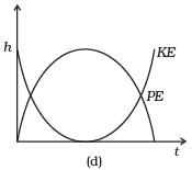 NCERT Exemplar: Work, Energy & Power | Physics Class 11 - NEET
