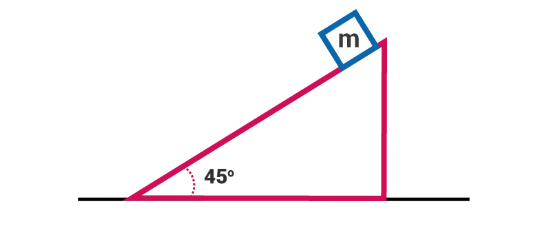 Newton`s Laws of Motion | Physics Class 11 - NEET