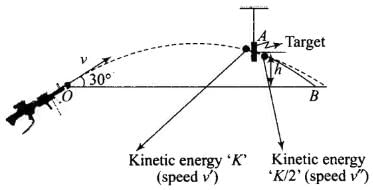 NCERT Exemplar: Work, Energy & Power | Physics Class 11 - NEET