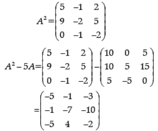 Mathematics: CBSE Sample Question Paper (2020-21)- 2 | Mathematics (Maths) Class 12 - JEE