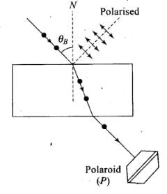 NCERT Exemplar: Wave Optics | Physics Class 12 - NEET