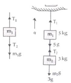 NCERT Exemplar: Laws of Motion | Physics Class 11 - NEET