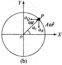 NCERT Exemplar: Oscillations | Physics Class 11 - NEET