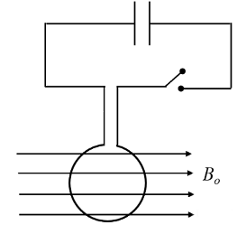 JEE Advanced Previous Year Questions (2018 - 2024): Magnetism | Physics for JEE Main & Advanced