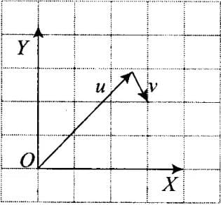 NCERT Exemplar: Motion in a Plane- 1