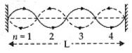 NCERT Exemplar: Waves | Physics Class 11 - NEET