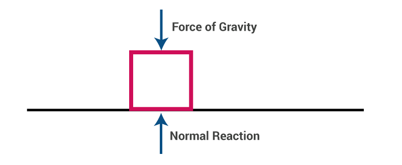 Newton`s Laws of Motion | Physics Class 11 - NEET