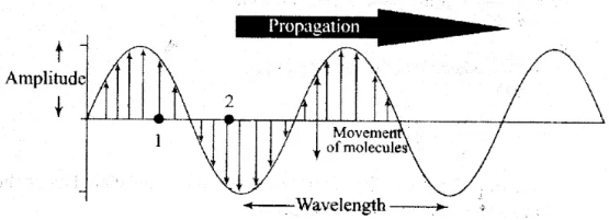 NCERT Exemplar: Waves | Physics Class 11 - NEET
