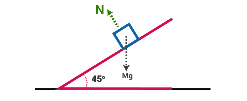 Newton`s Laws of Motion | Physics Class 11 - NEET