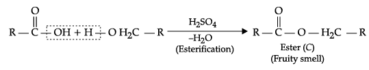 Class 12 Chemistry: CBSE Sample Question Paper- Term II (2021-22)- 3 | Sample Papers for Class 12 Medical and Non-Medical