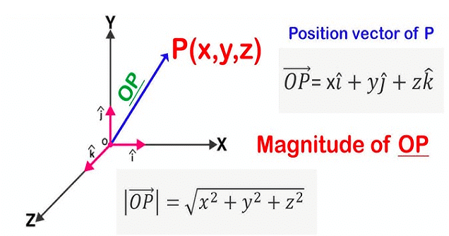 Vectors and their Addition & Subtraction | Physics Class 11 - NEET