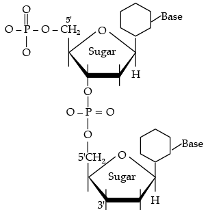 Chemistry: CBSE Sample Question Paper (2020-21) - 1 | Chemistry for Grade 12