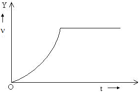 Sample Paper 1 with Solution: Physics, Class 11 | Physics for Grade 11