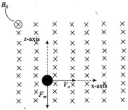 NCERT Exemplar: Dual Nature of Radiation and Matter | Physics for Airmen Group X - Airforce X Y / Indian Navy SSR