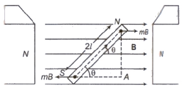 Magnetic Dipole | Physics Class 12 - NEET