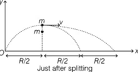 JEE Advanced Previous Year Questions (2018 - 2024): Laws of Motion | Physics for JEE Main & Advanced