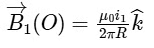 JEE Advanced Previous Year Questions (2018 - 2024): Magnetism | Physics for JEE Main & Advanced