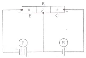 NCERT Exemplar: Semiconductor Electronics | Physics Class 12 - NEET