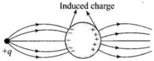 NCERT Exemplars - Electric Charges and Fields | Physics for Airmen Group X - Airforce X Y / Indian Navy SSR