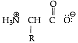 Class 12 Chemistry: CBSE Sample Question Paper- Term I (2021-22)- 3 | Sample Papers for Class 12 Medical and Non-Medical
