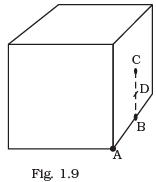 NCERT Exemplars - Electric Charges and Fields | Physics for Airmen Group X - Airforce X Y / Indian Navy SSR
