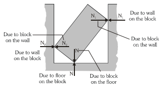 Laws of Motion Detailed Explanation | Physics Class 11 - NEET