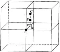 NCERT Exemplars - Electric Charges and Fields | Physics for Airmen Group X - Airforce X Y / Indian Navy SSR