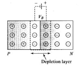 NCERT Exemplar: Semiconductor Electronics | Physics Class 12 - NEET