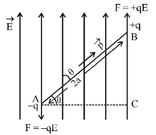 Important Derivations: Electric Charges and Fields | Physics Class 12 - NEET