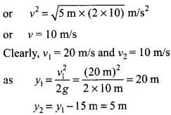 NCERT Exemplar: Motion in a Straight Line - 2 | NCERT Exemplar & Revision Notes for NEET