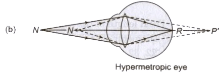 Optical Instruments | Physics Class 12 - NEET