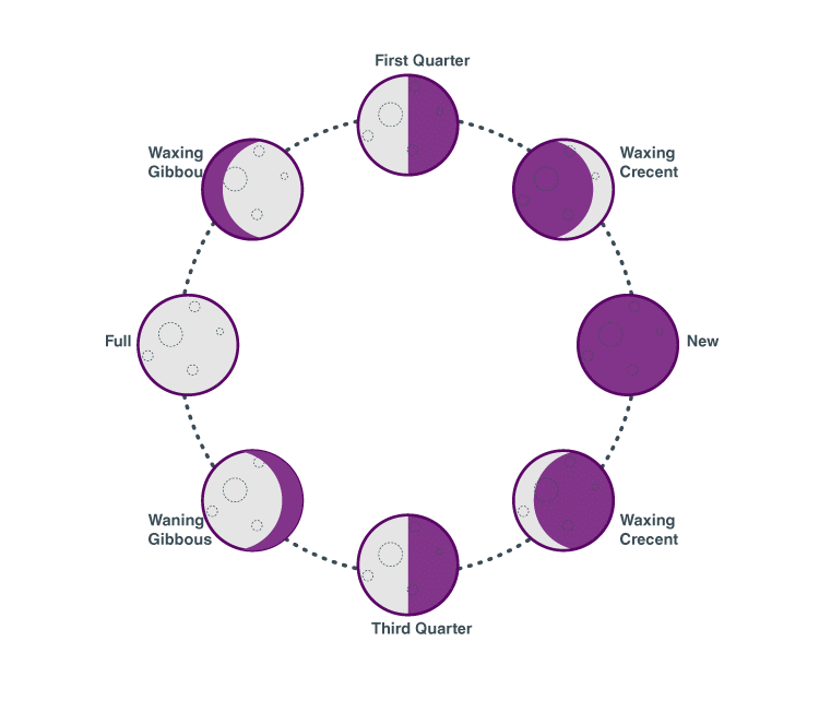 Phases of moon