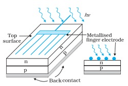 Optoelectronic Junction Devices | Physics Class 12 - NEET