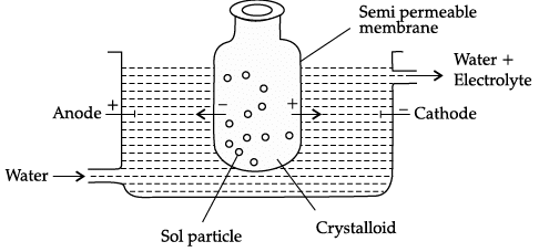 Class 12 Chemistry: CBSE Sample Question Paper- Term II (2021-22)- 5 | Sample Papers for Class 12 Medical and Non-Medical