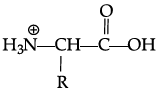 Class 12 Chemistry: CBSE Sample Question Paper- Term I (2021-22)- 3 | Sample Papers for Class 12 Medical and Non-Medical