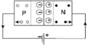 Forward and Reverse Biasing | Additional Study Material for JEE